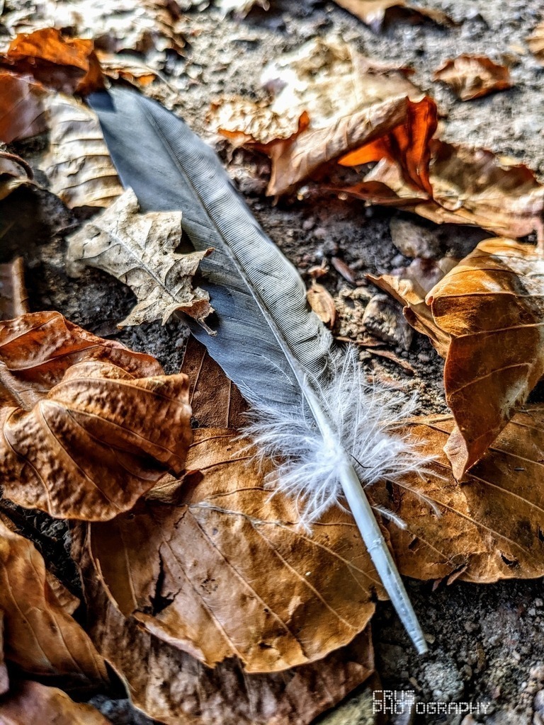 Photo_1693163566008 | crus-photography