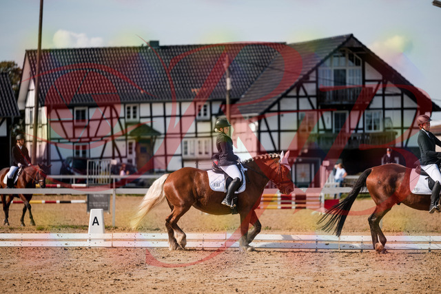2026_10_03_Siefer-Hof_130502_Z63_68329032 | Professionelle Reitsport-, Turnier- und Eventfotografie von Robert Broda. Galerien mit ausgewählten und bearbeiteten Bildern direkt online ansehen und bestellen.