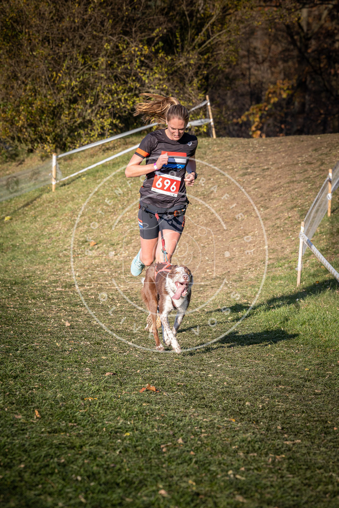 CaniXpix_0L8A9464 | Hundefotografie, Tierfotograf, Pfotenfotografie, Fotoshooting Hund, Hunde Portrait, Hundesport, Hundeportraits, Heideshooting, Hunde, Sportfotograf, Hundefotograf, Turnierhundsport, THS,  - Realisiert mit Pictrs.com
