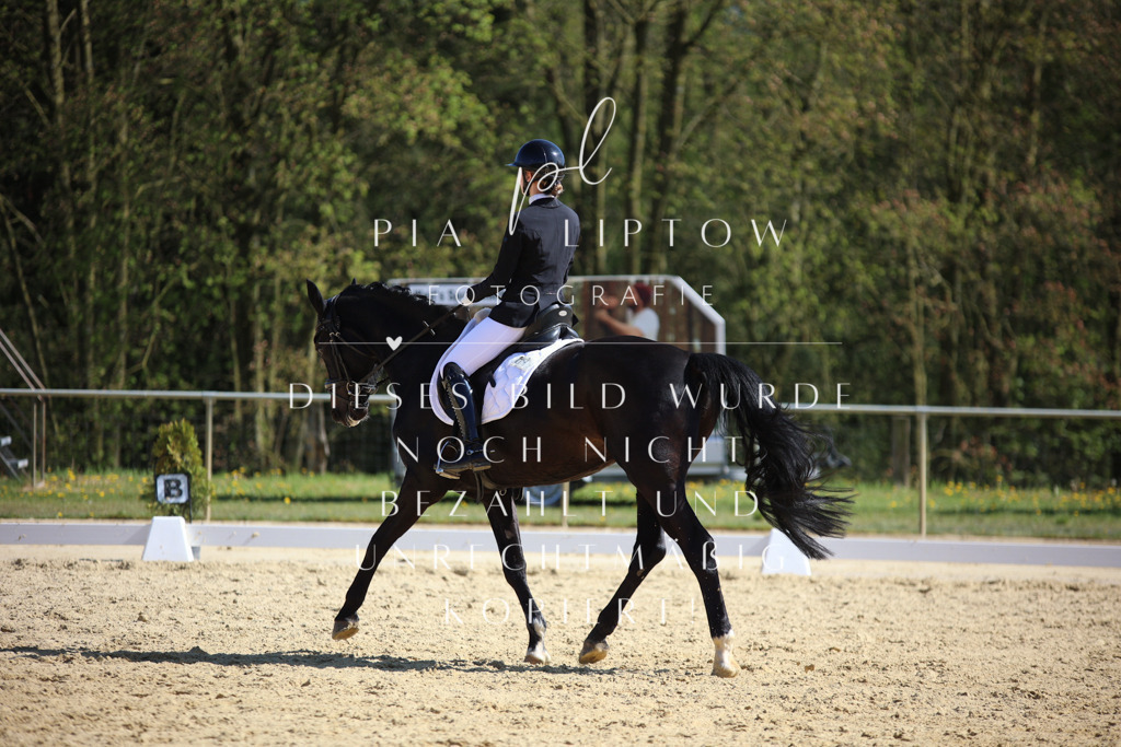 IMGT2294 | pl-fotografie