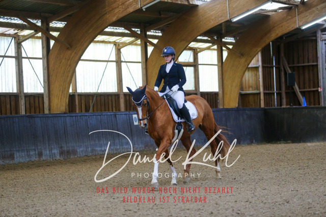 IMG_0068 | Deine Turnierfotos vom Reitturnier online kaufen: Dressur, Springen & Siegerehrung. Professionelle Pferdefotografie aus dem Rheinland – als Download & Print.Alternative: Turnierfotograf für den Pferdesport: Finde deine Fotos von Dressur- und Springturnier