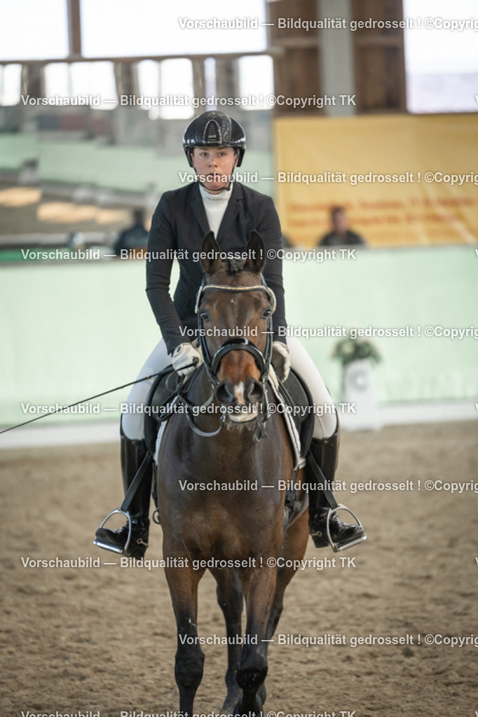 _D5A3098 | Emotionale Pferde- & People-Fotografie rund um Heidelberg, Leimen & Umgebung. Natürliche Fotos von Pferd, Mensch & Familie. Jetzt Termin sichern!