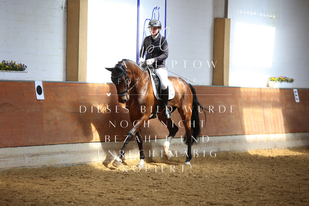 IMGT5029 | pl-fotografie