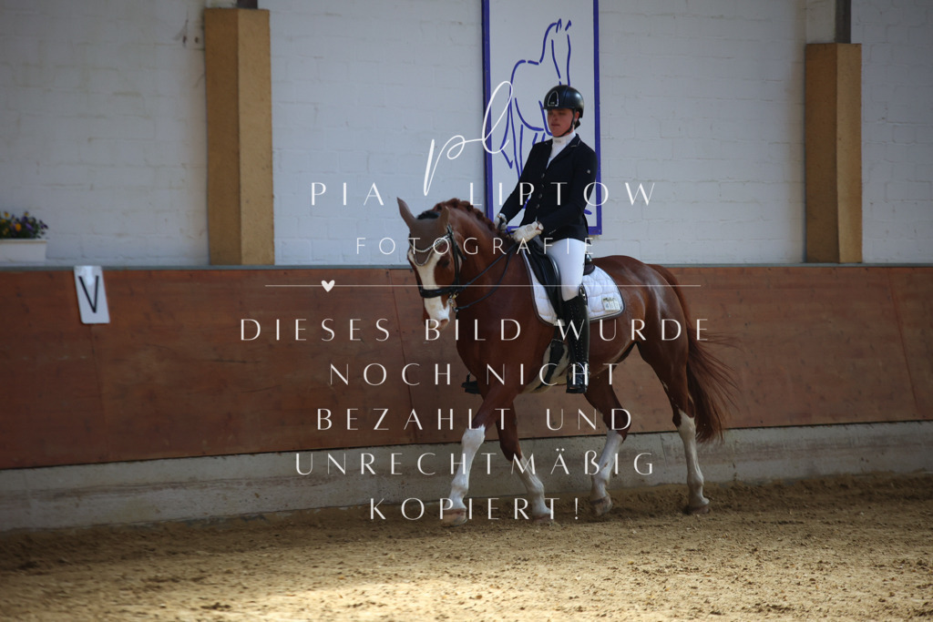 IMGT9654 | pl-fotografie