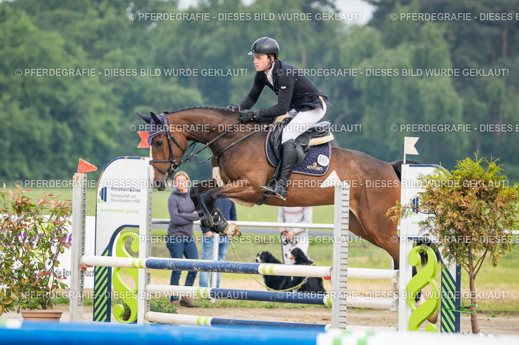 DSC08603 | Pferdegrafie