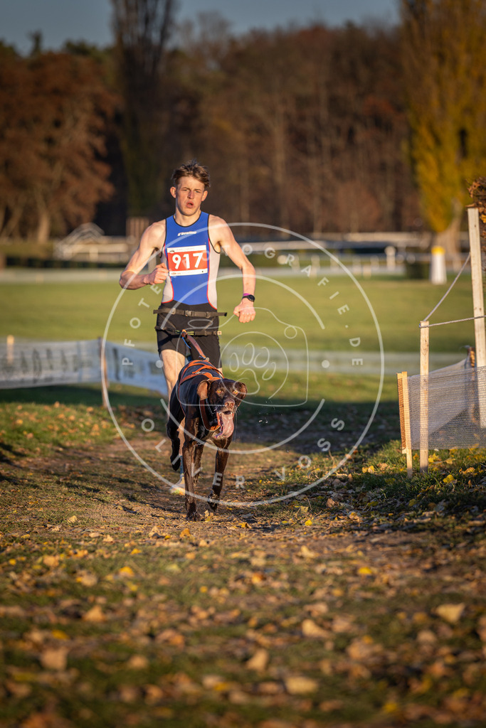 CaniXpix_DV3A4856 | Hundefotografie, Tierfotograf, Pfotenfotografie, Fotoshooting Hund, Hunde Portrait, Hundesport, Hundeportraits, Heideshooting, Hunde, Sportfotograf, Hundefotograf, Turnierhundsport, THS,  - Realisiert mit Pictrs.com