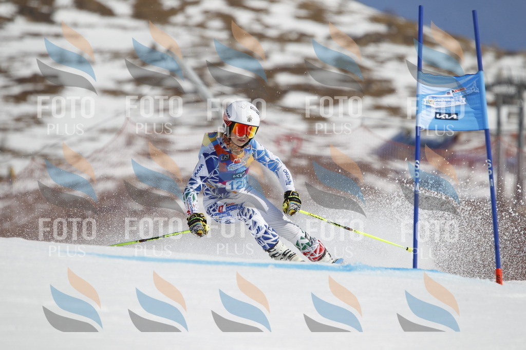 _U3G0724 | holidayphoto