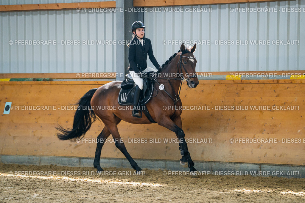 DSC01761 | Pferdegrafie