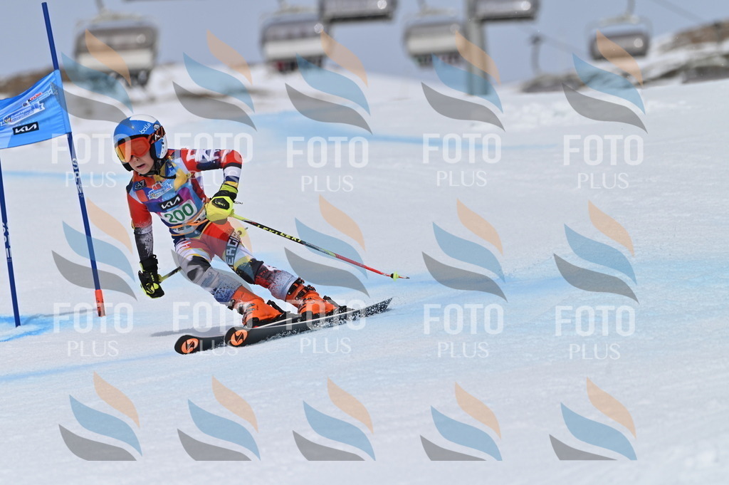 BGV_3856 | holidayphoto