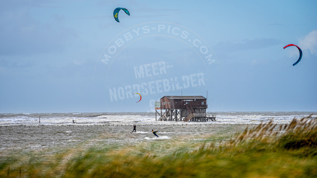 Silbermöwe und die Kiter | Flut am Ordinger Strand