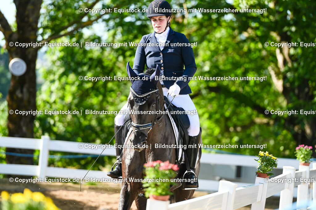 20230715_06_Dressurpferdeprfg. Kl.A_0178 | equistock