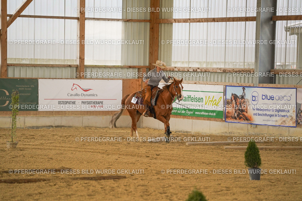 DSC04541 | Pferdegrafie