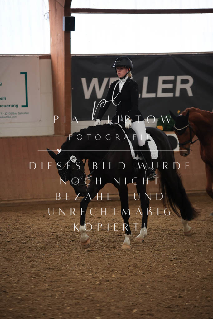 IMGT6992 | pl-fotografie