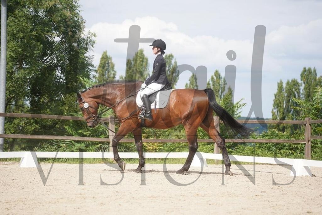 tgbhsamstag (1111) | d.tail Visions - Shop - Realisiert mit Pictrs.com