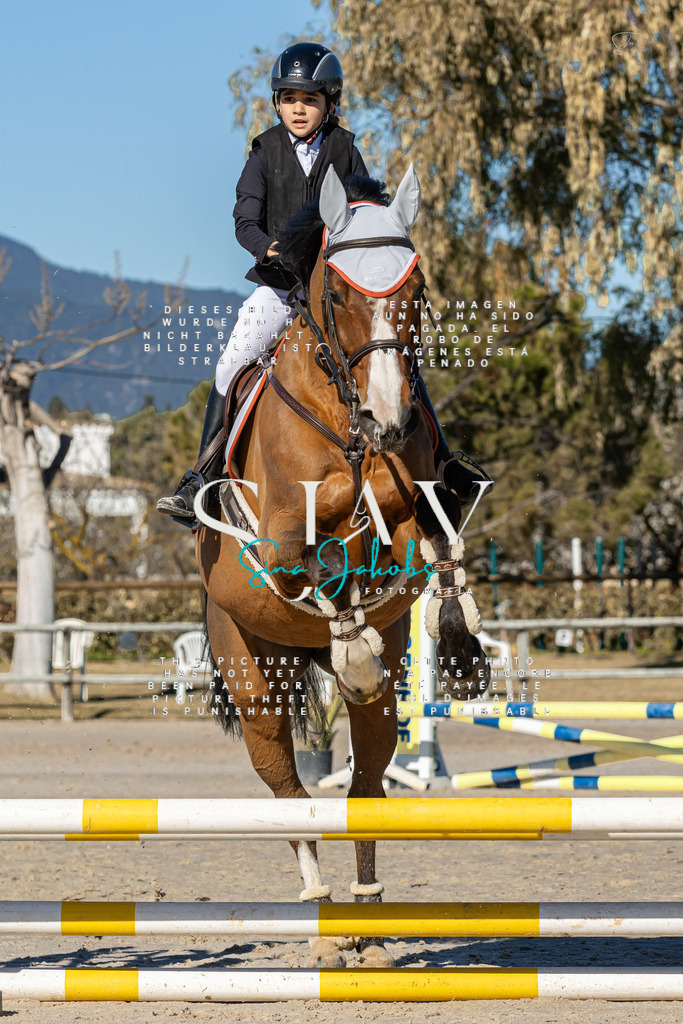 IMG_8119 | s-jay-photography - Realisiert mit Pictrs.com