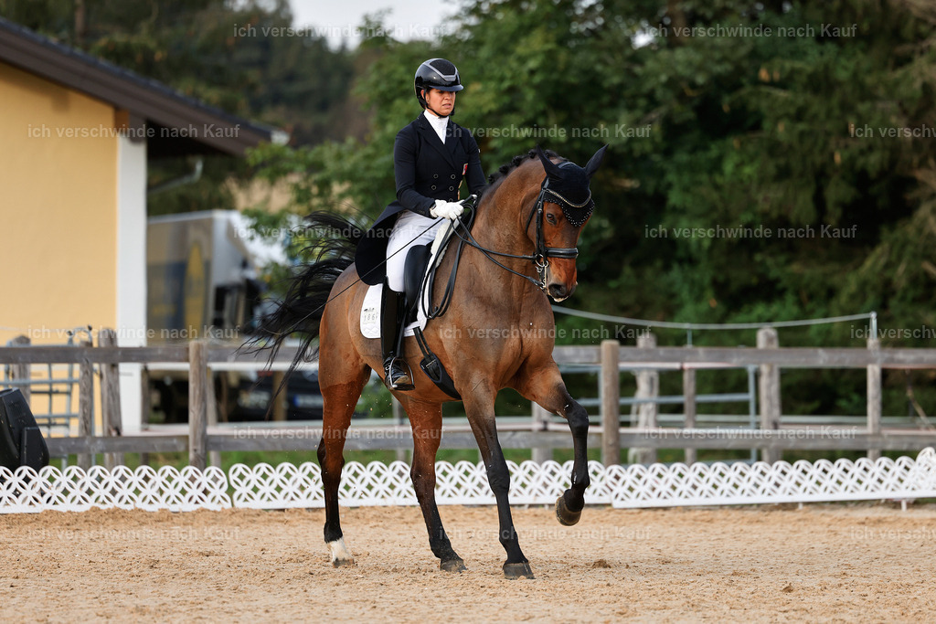 13-186-S___ -StoibPH-7019 | working equitationturnier fotograf videograf stoibphotography marixx film working equitation deutschland reitsport turnierfotografie eventfotografie equestrian events