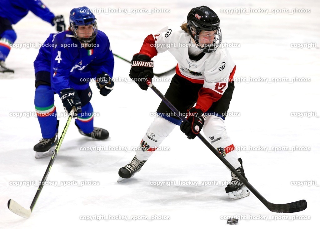 MOWE3974 | hockey sports photos, Pressefotos, Sportfotos, hockey247, win 2day icehockeyleague, Handball Austria, Floorball Austria, ÖVV, Kärntner Eishockeyverband, KEHV, KFV, Kärntner Fussballverband, Österreichischer Volleyballverband, Alps Hockey League, ÖFB, 