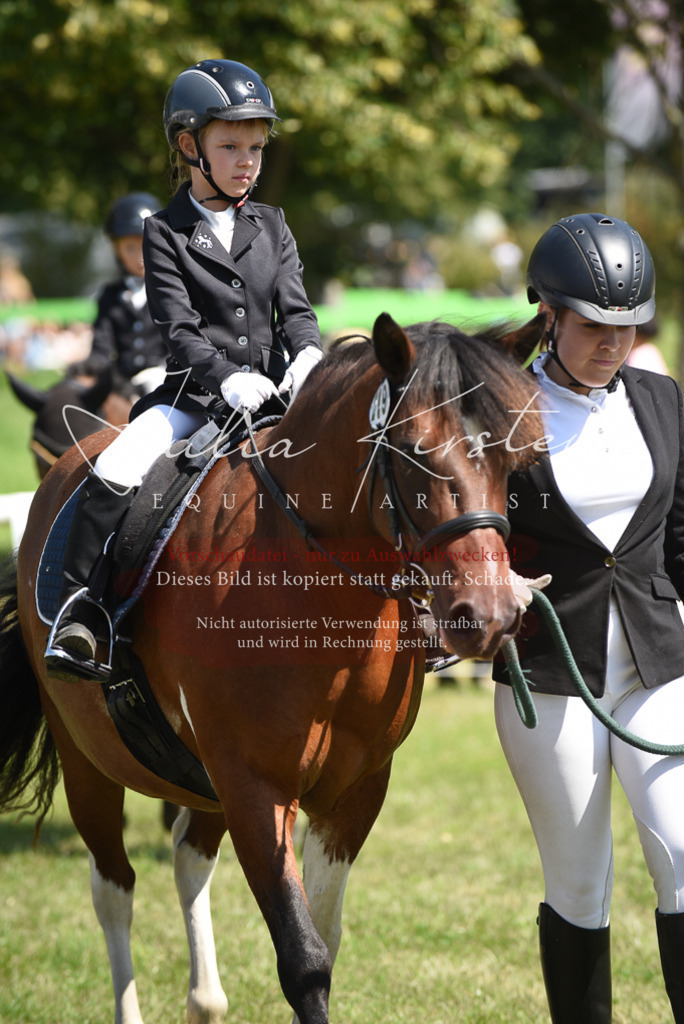 DSC_9756 | Pferde- und Turnierfotografie in Westsachsen. Pferdeportraits, Auftragszeichnungen und intuitive Kunst.