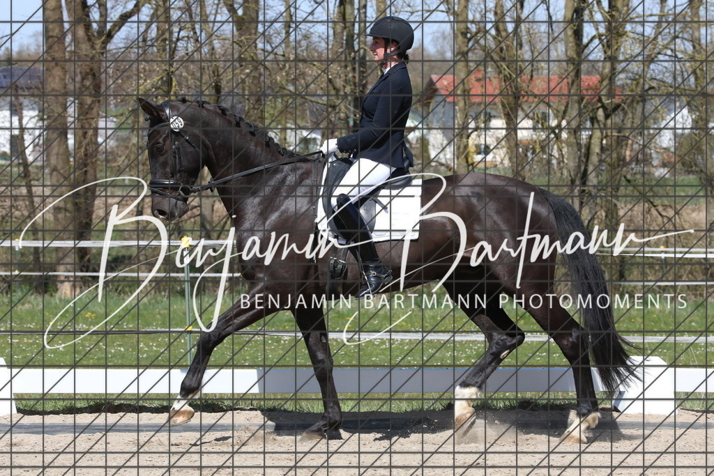 AZ2A4176 | Benjamin Bartmann Photomoments