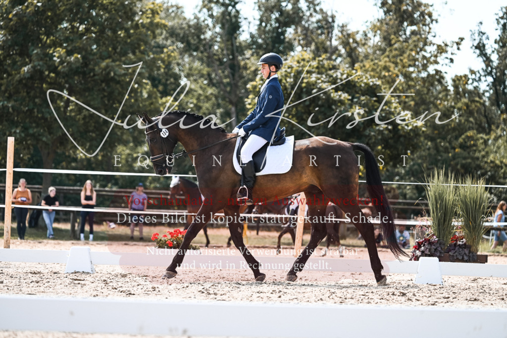 DSC_5422 | Pferde- und Turnierfotografie in Westsachsen. Pferdeportraits, Auftragszeichnungen und intuitive Kunst.