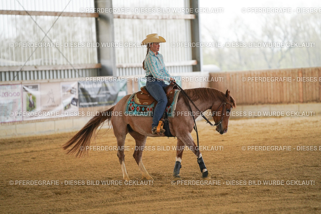 DSC08622 | Pferdegrafie