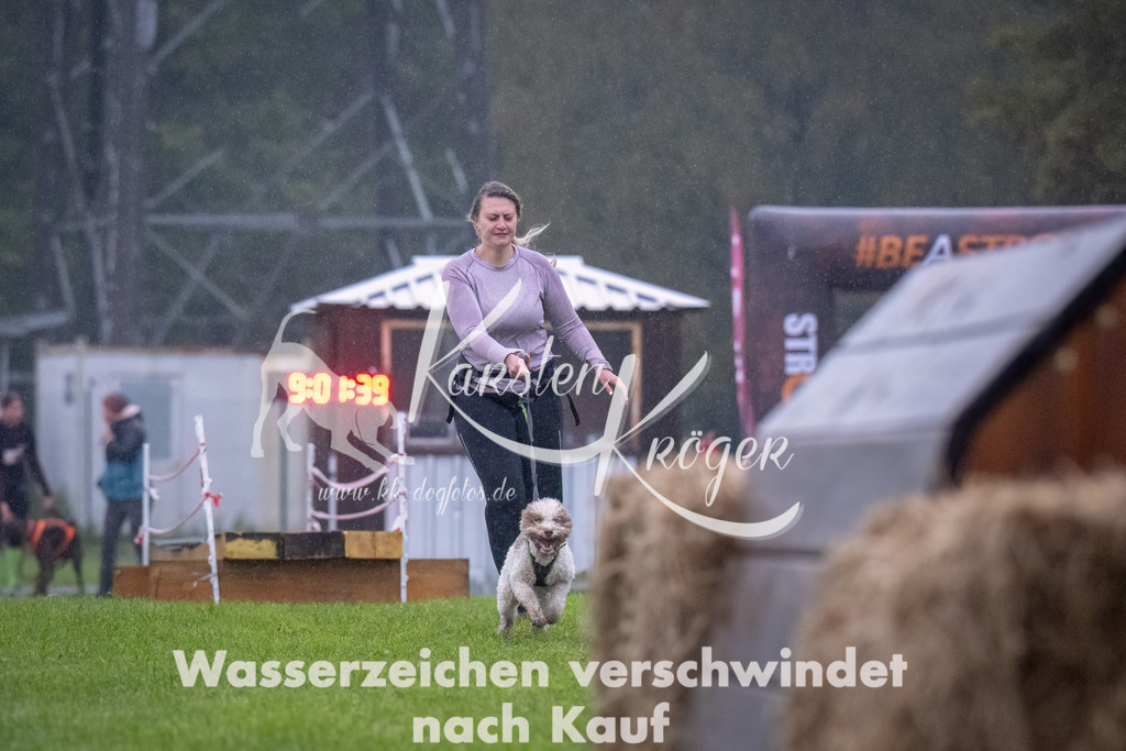 0903-_ZZ92975-Bearbeitet | kk-dogfotos