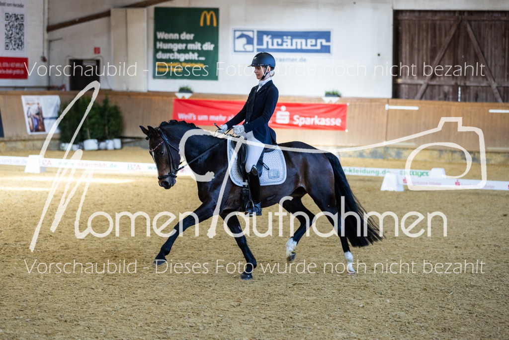 Sth-LPO25-DrR-L-279 | MomenTaufnahmen Pferdesportfotos