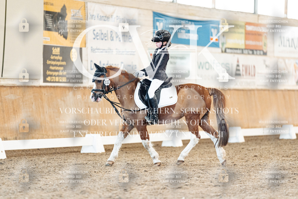 CK907335 | Turnierfotografie Pferdefotografie Trier Rheinland-Pfalz Pferdesport Reitsport Tierfotografie Sportfotografie Pferdevideo Pferdevideografie Equestrianvideography equestrianphotography  - Realisiert mit Pictrs.com