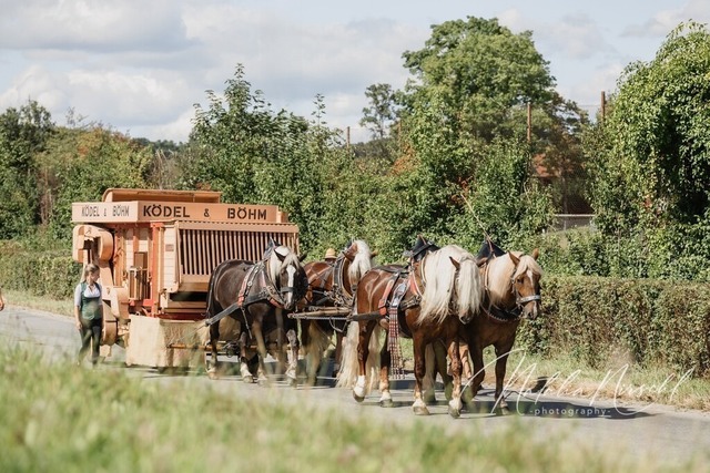 7V6A2051 | natalia-nirschl-photography