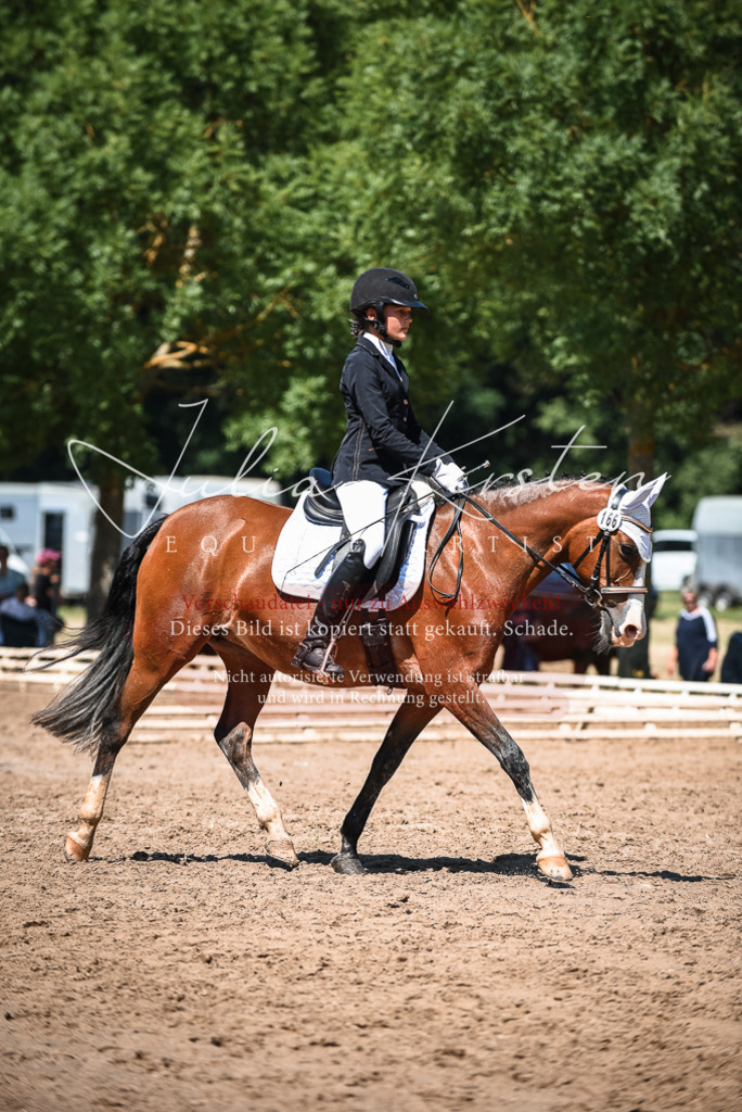 DSC_3157 | Pferde- und Turnierfotografie in Westsachsen. Pferdeportraits, Auftragszeichnungen und intuitive Kunst.
