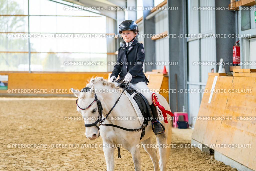 DSC01225 | Pferdegrafie