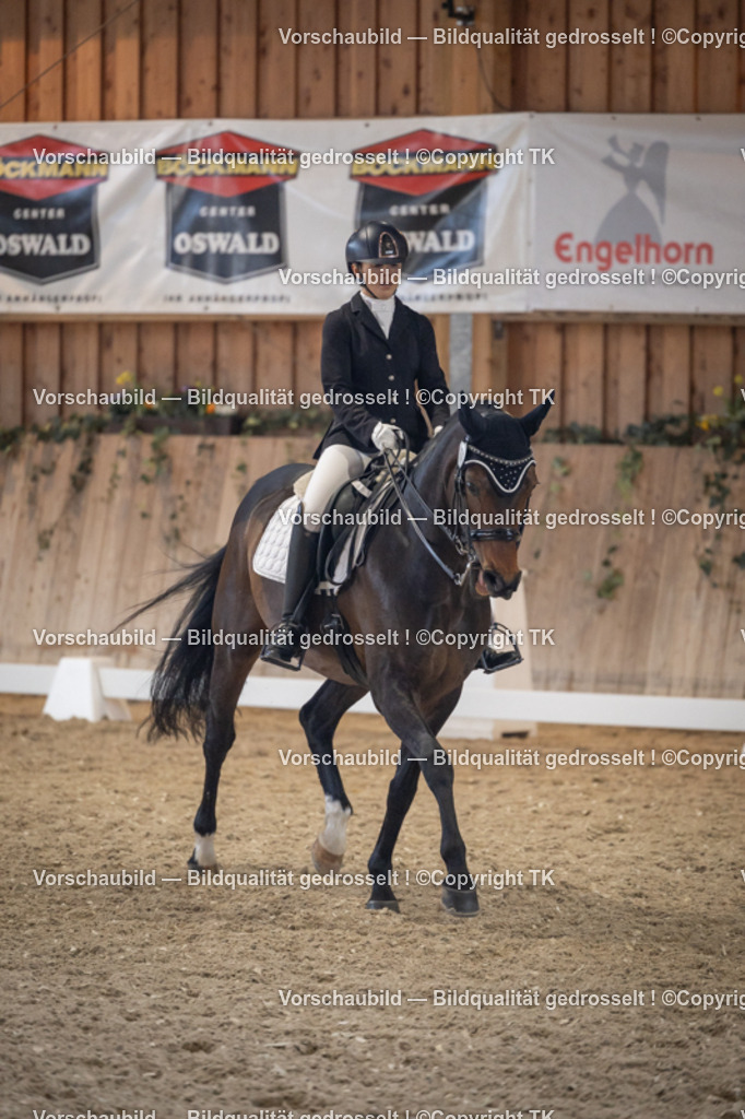 _D5A1895 | Emotionale Pferde- & People-Fotografie rund um Heidelberg, Leimen & Umgebung. Natürliche Fotos von Pferd, Mensch & Familie. Jetzt Termin sichern!