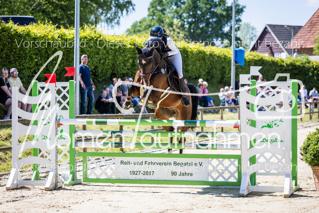 Donop24-L-Spr-008 | MomenTaufnahmen Pferdesportfotos