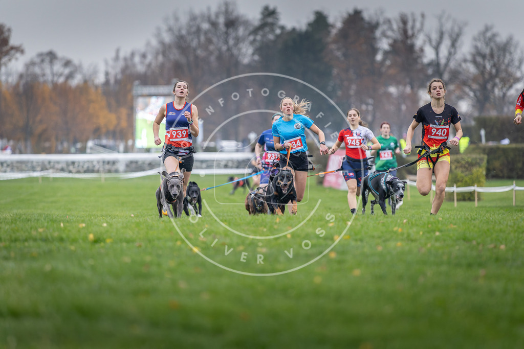 CaniXpix_DV3A7105 | Hundefotografie, Tierfotograf, Pfotenfotografie, Fotoshooting Hund, Hunde Portrait, Hundesport, Hundeportraits, Heideshooting, Hunde, Sportfotograf, Hundefotograf, Turnierhundsport, THS,  - Realisiert mit Pictrs.com