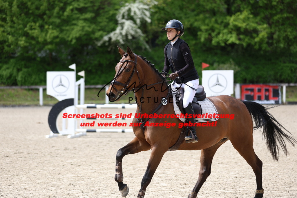 A40A2156 | lmwpictures - Realisiert mit Pictrs.com