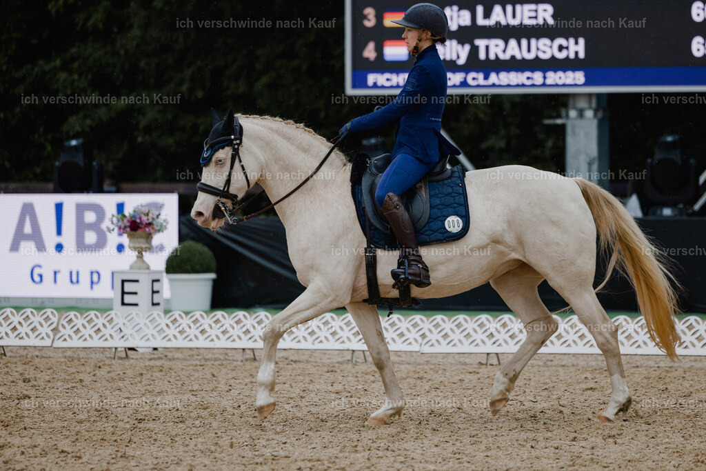 Nici11_FHC2025-25117 | working equitationturnier fotograf videograf stoibphotography marixx film working equitation deutschland reitsport turnierfotografie eventfotografie equestrian events