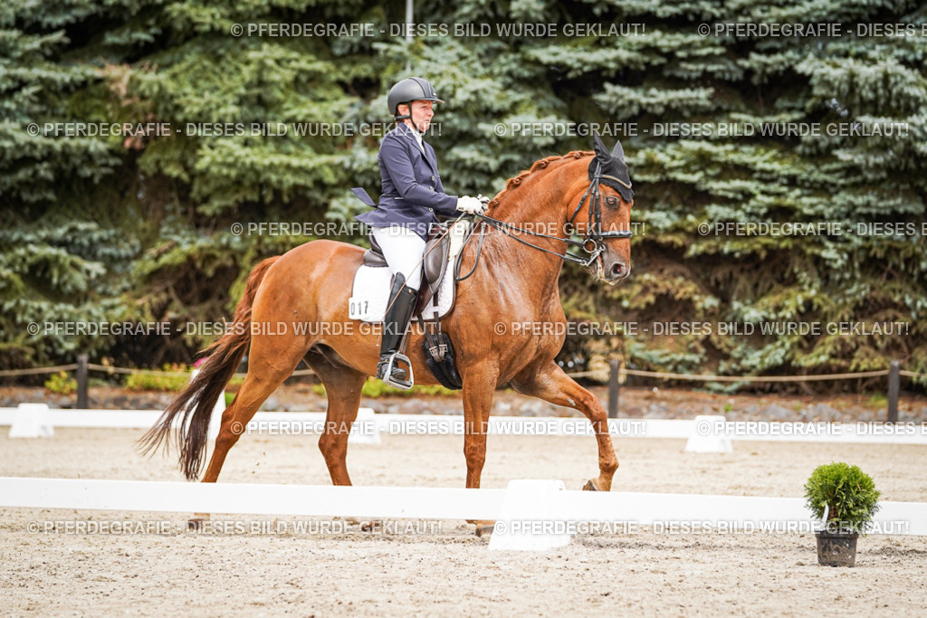 DSC05013 | Pferdegrafie