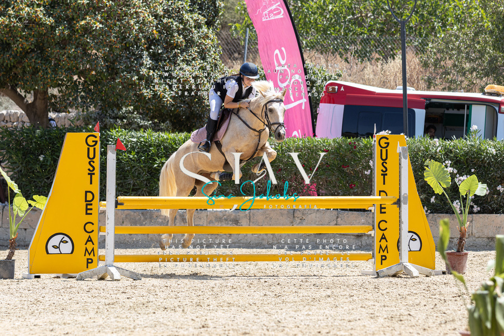 IMG_6338 | s-jay-photography - Realisiert mit Pictrs.com