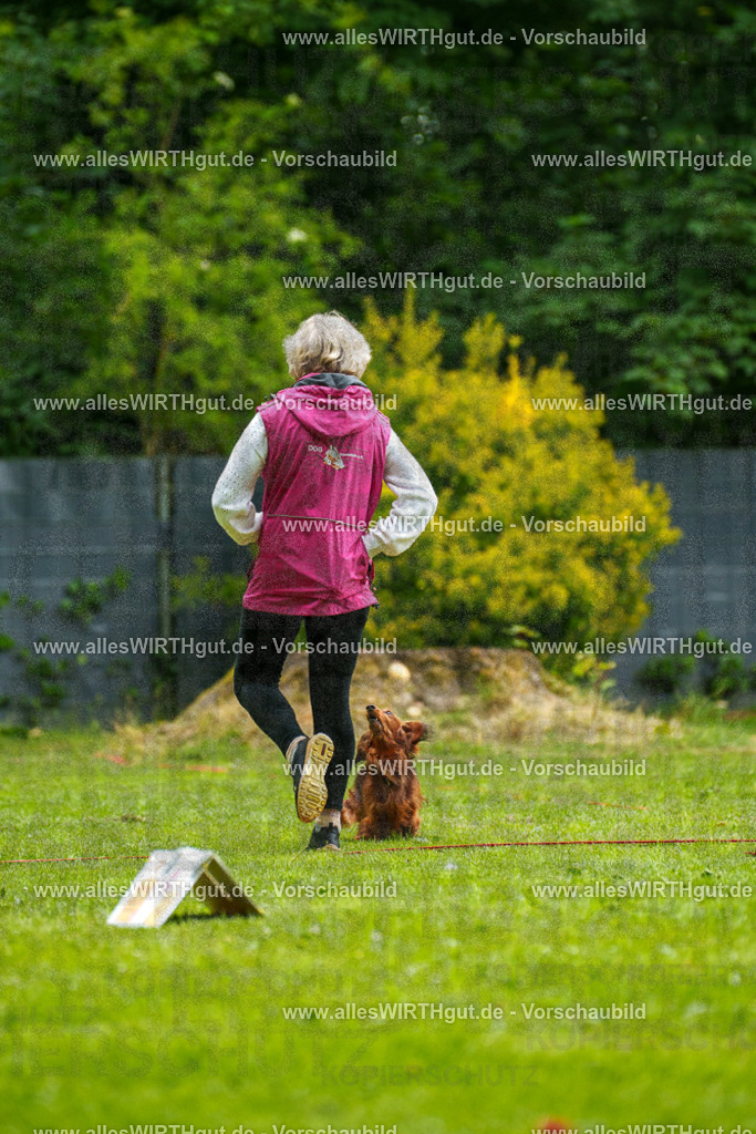 @allesWIRTHgut_Tierfotografie - www.allesWIRTHgut.de - 091053-7R506683 | Professionelle Tierfotografie in Mönchengladbach von Daniel Wirth (allesWIRTHgut). Liebevolle & natürliche Bilder von Hunden & Katzen für unvergessliche Erinnerungen.