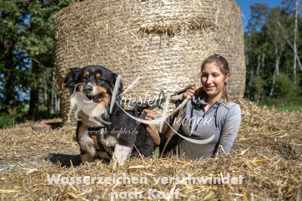 1236_ZZ91764-2 | kk-dogfotos