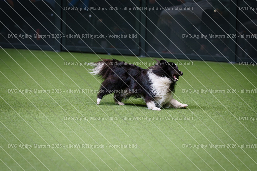 allesWIRTHgut_Tierfotografie-DVG_Agility_Masters_2026-11_40-7R506729 | Professionelle Tierfotografie in Mönchengladbach von Daniel Wirth (allesWIRTHgut). Liebevolle & natürliche Bilder von Hunden & Katzen für unvergessliche Erinnerungen.