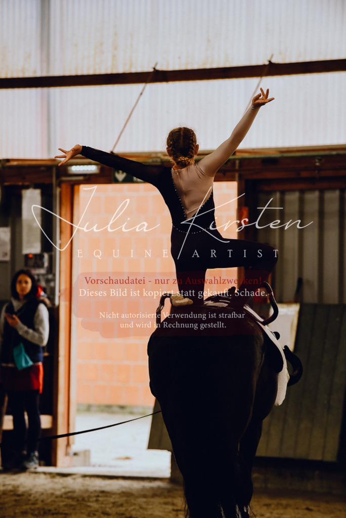 DSC_6884 | Pferde- und Turnierfotografie in Westsachsen. Pferdeportraits, Auftragszeichnungen und intuitive Kunst.