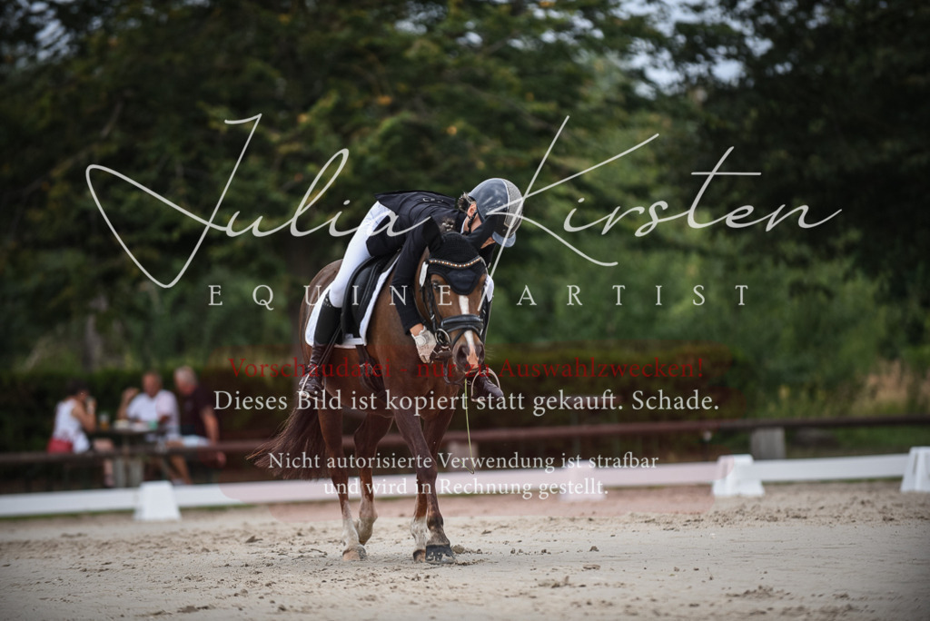 DSC_8180 | Pferde- und Turnierfotografie in Westsachsen. Pferdeportraits, Auftragszeichnungen und intuitive Kunst.