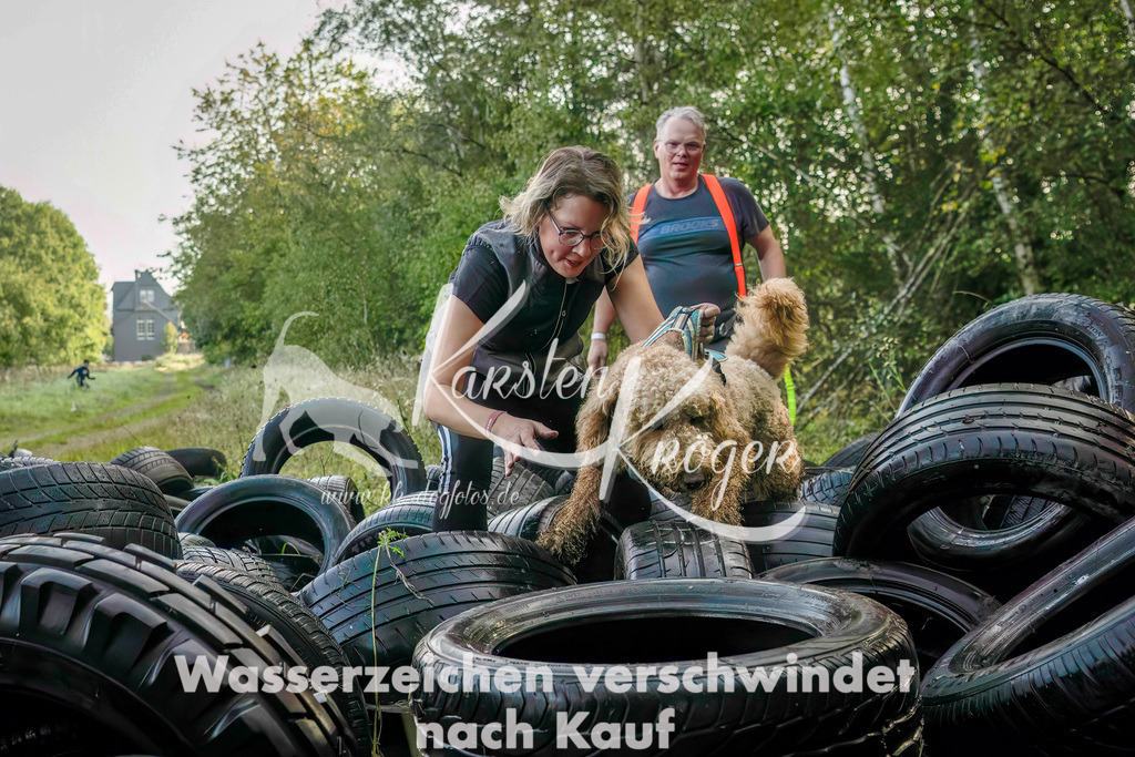 1018_ZZ94295-Bearbeitet | kk-dogfotos