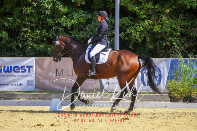 DKP41948 | Turniersportfotografie; Pferdefotografie; Dressurfotografie