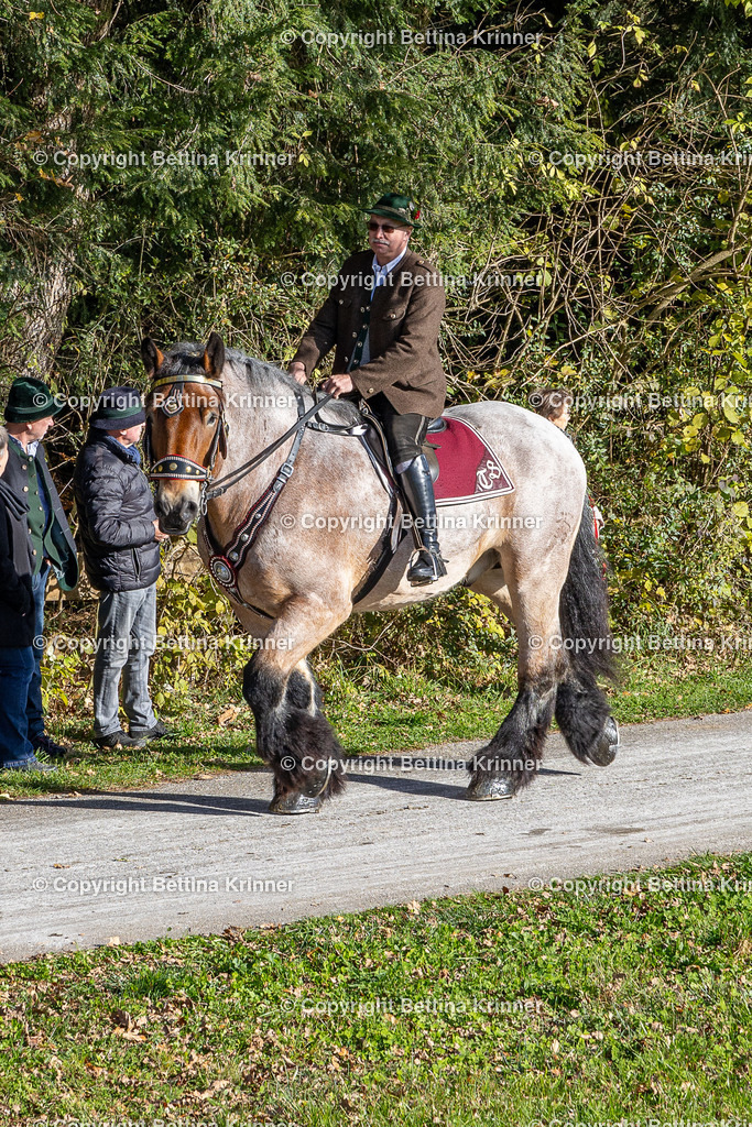 LBT24-802 | foto-bettina-krinner - Realisiert mit Pictrs.com