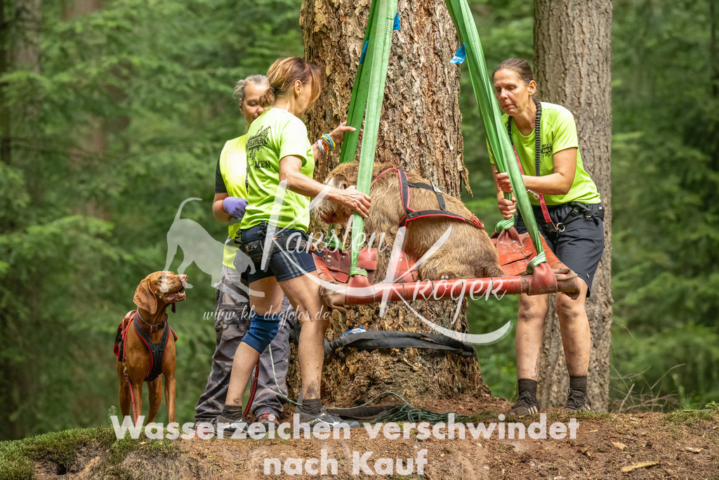 1321_ZZ92635-Bearbeitet | kk-dogfotos