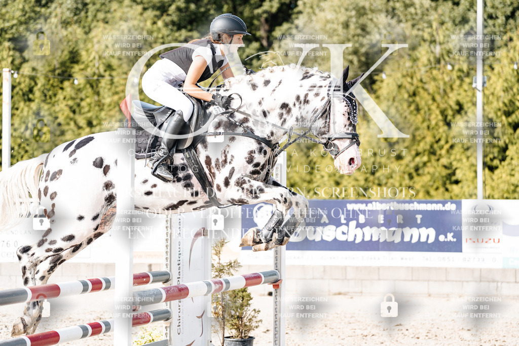 CK905987 | Turnierfotografie Pferdefotografie Trier Rheinland-Pfalz Pferdesport Reitsport Tierfotografie Sportfotografie Pferdevideo Pferdevideografie Equestrianvideography equestrianphotography  - Realisiert mit Pictrs.com