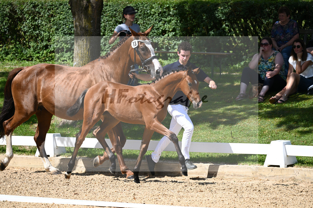 Kat-Nr. 13 SF Zenetti x Don Diamond_Schneider_27230292 | hf-fotografie - Realisiert mit Pictrs.com