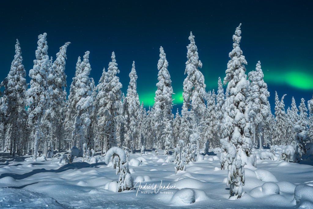 Speere aus Eis | Andre Wandrei - Nature Artworx - Realisiert mit Pictrs.com